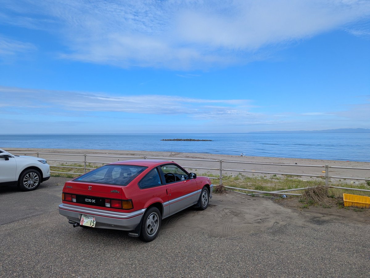 うめばら〜ど tweet media