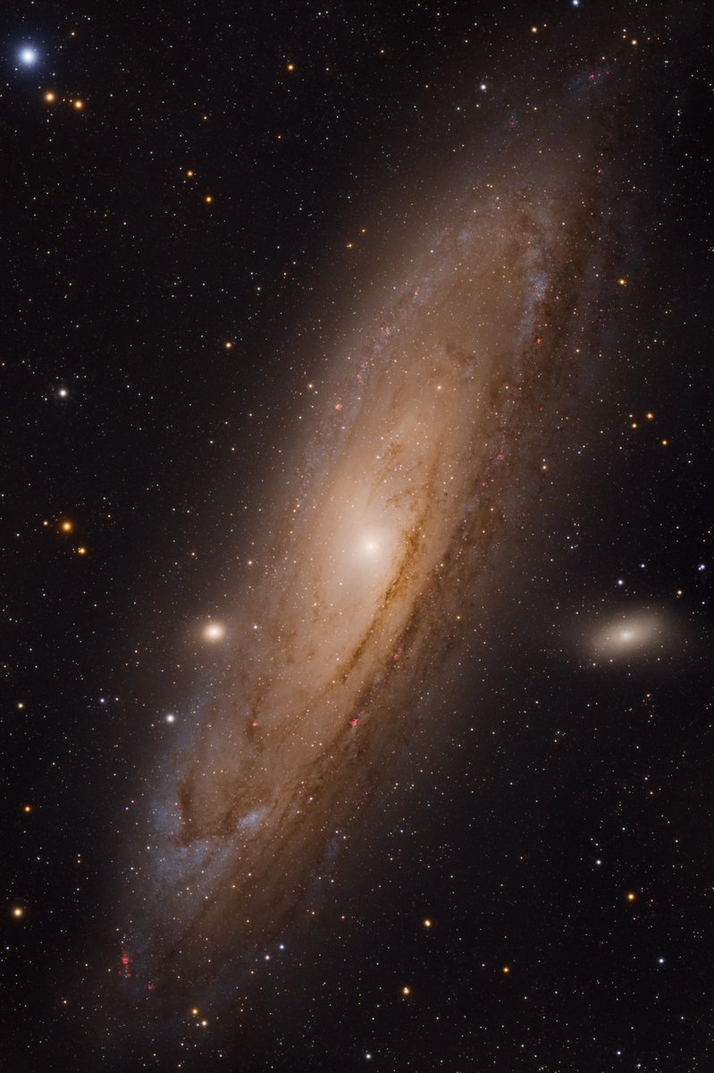 astropics's tweet photo. The beauty of the Andromeda Galaxy https://t.co/XeU4TbXDcI