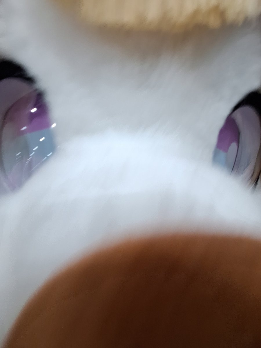 이이구🔜3부코 부스(양일) tweet media