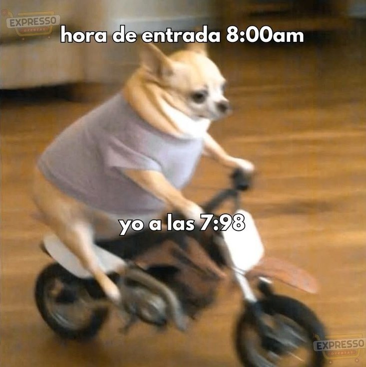 Pero llego que es lo importante 😬