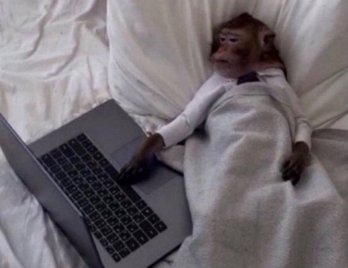 وأنت شايل هم كل شي بس مالك خلق تسوي شي