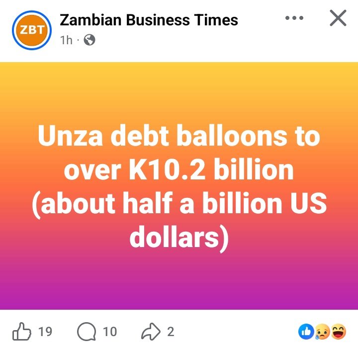 plant a tree 🌱 tweet media