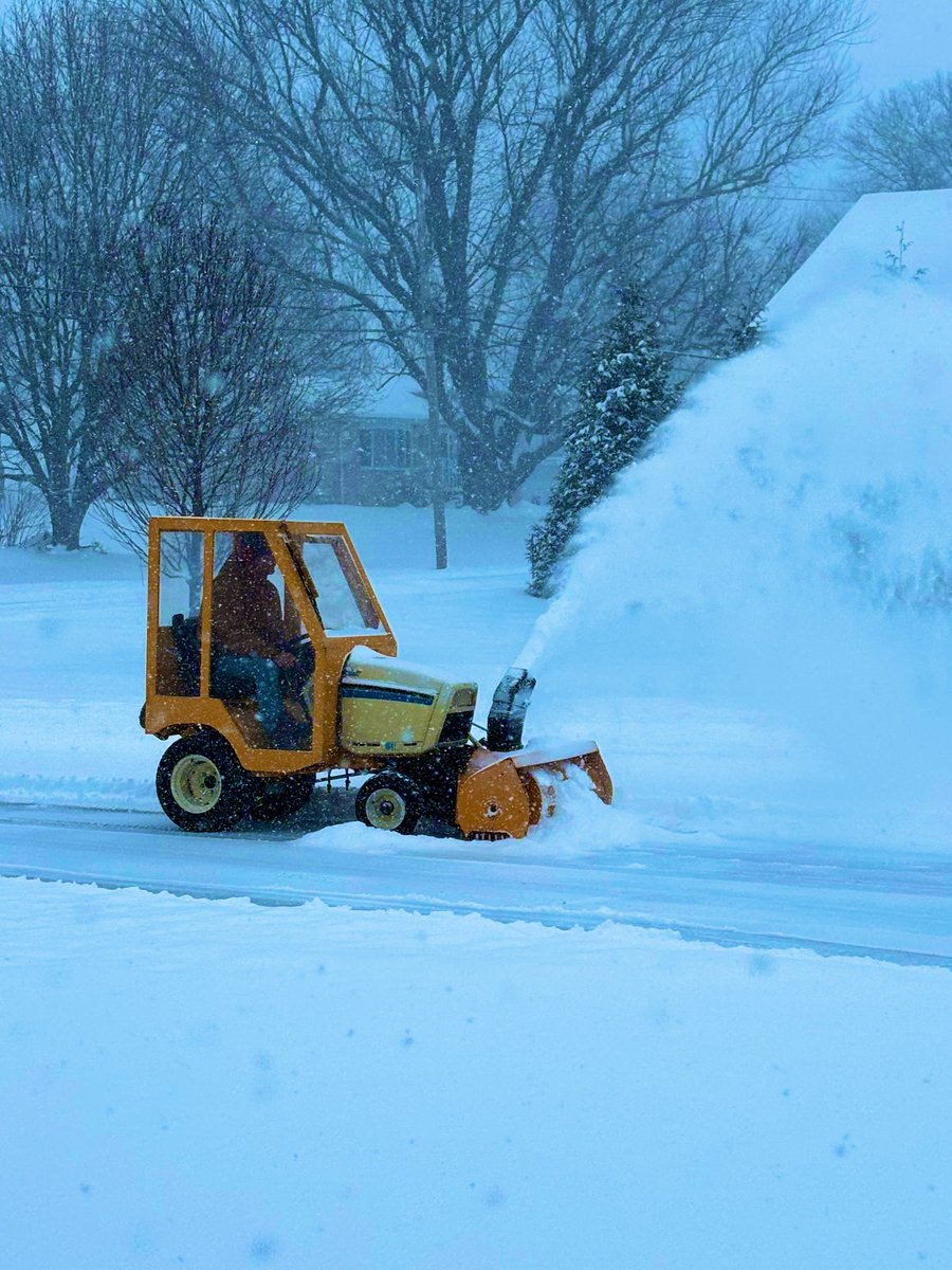 Donna Schies tweet media