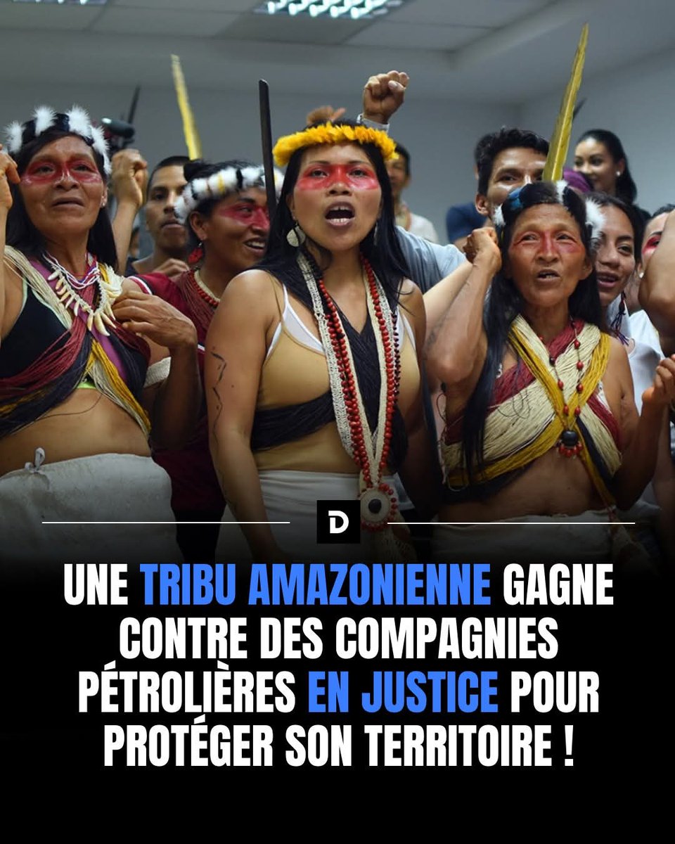 AdeaClaude's tweet image. En Équateur, les Waorani viennent de remporter une victoire historique : un tribunal pénal a interdit aux compagnies pétrolières d’explorer leurs terres ancestrales dans la province de Pastaza.
Le jugement repose sur la constitution, qui protège les territoires autochtones.