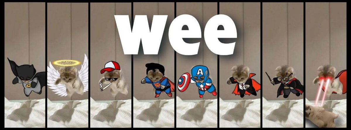 weecatsol's tweet image. Trenches are due for an animal runner.

That's why I am relaunching $wee cat.

I launched Wee in Aug 2024, and we reach $1.4M market cap without fees from Pump.

This time, with fees, my goal is way higher, the goal is to create long term multy mill project.

Verify my wallet:…