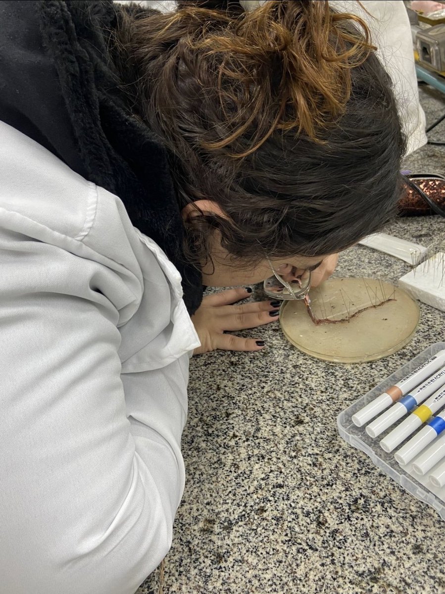 mariccastroo's tweet photo. POV: você passou em biologia na UFSCAR Araras e seus dias são assim https://t.co/8BY7wUbiqV