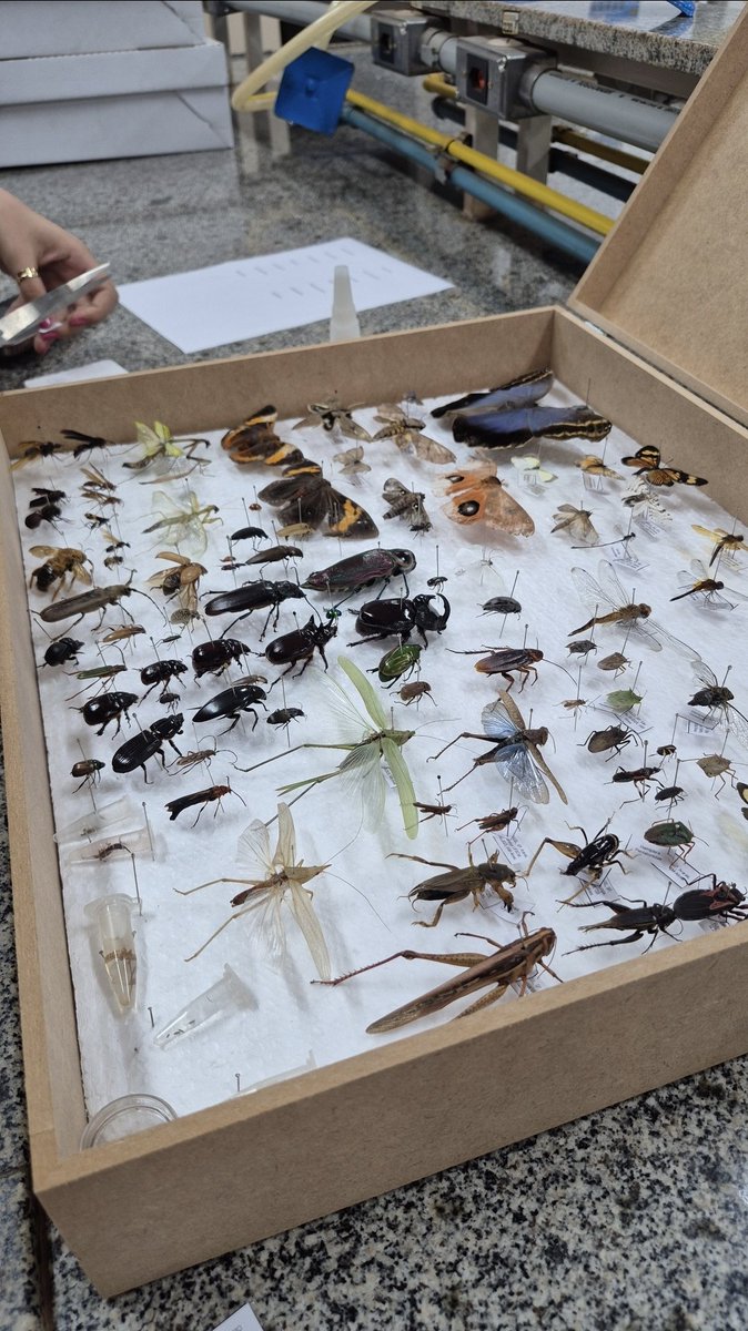 mariccastroo's tweet photo. POV: você passou em biologia na UFSCAR Araras e seus dias são assim https://t.co/8BY7wUbiqV