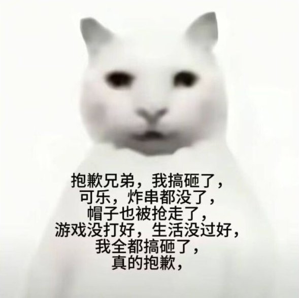 腐烂暴躁小猫猫 tweet media