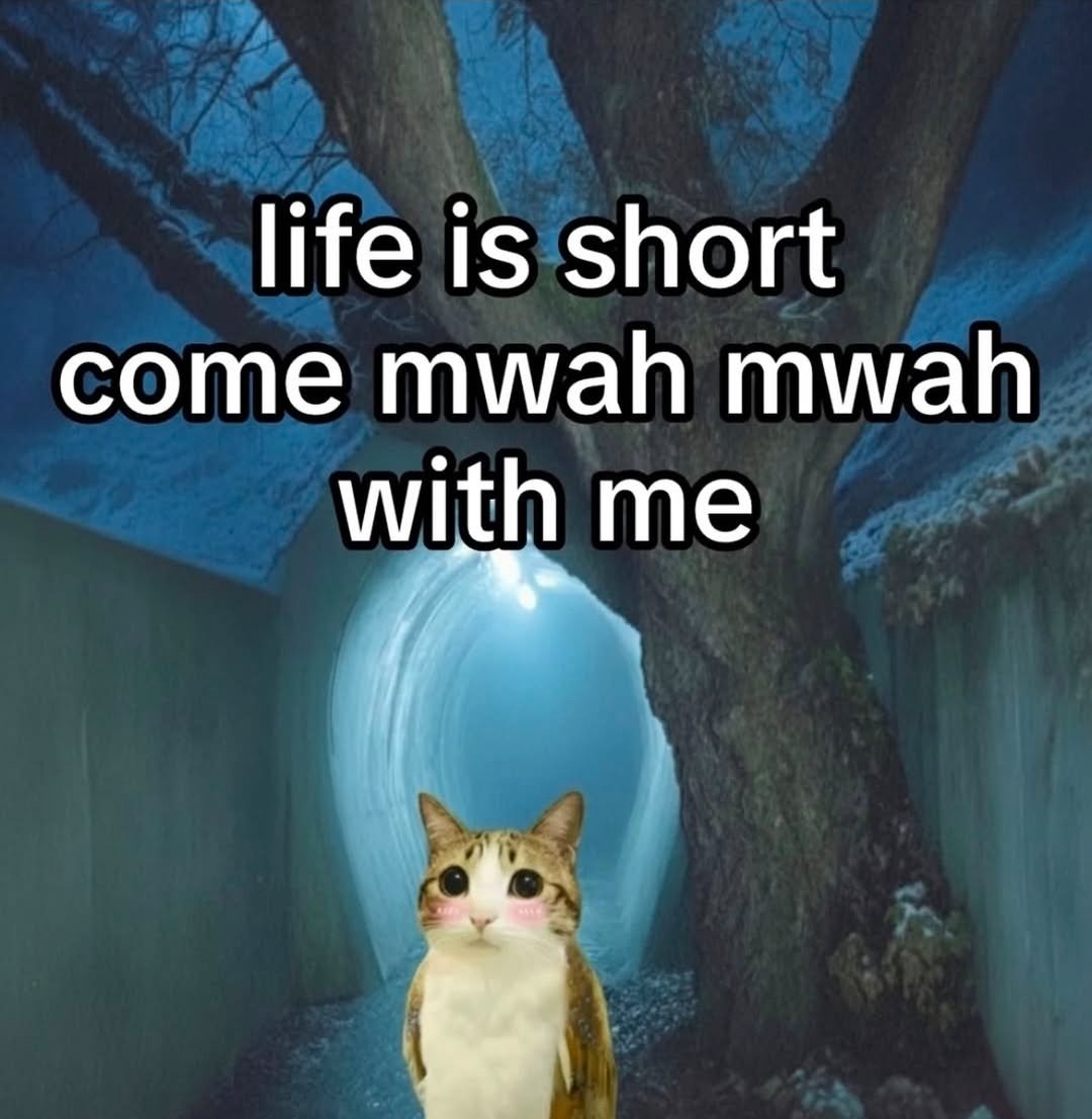 imadoringyou's tweet image. 