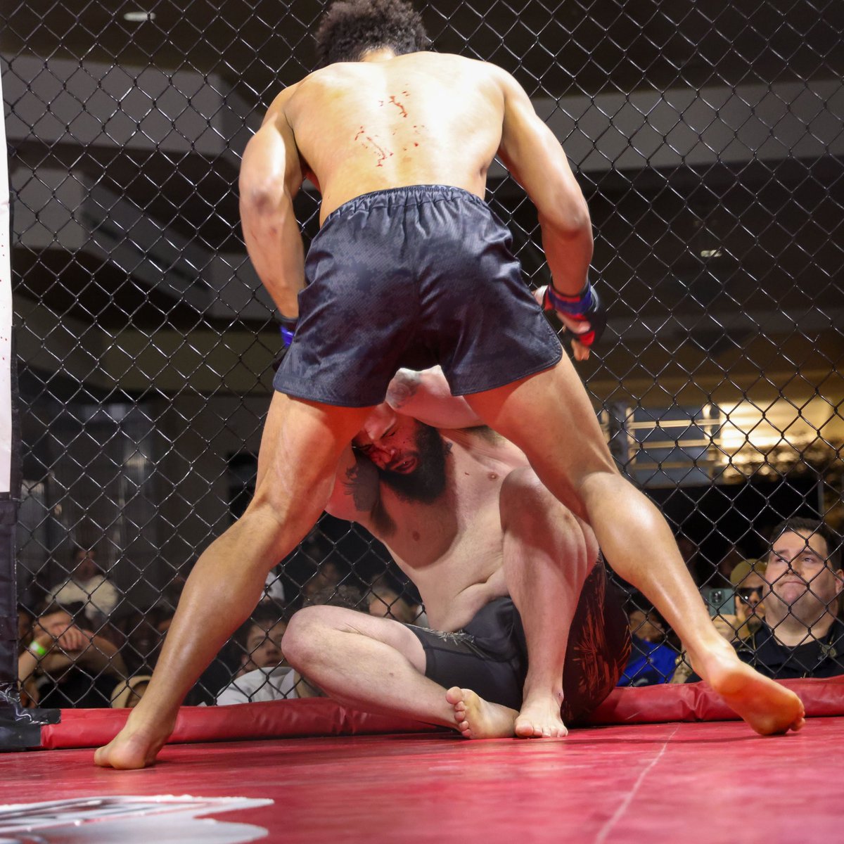 Zavier Banks tweet media