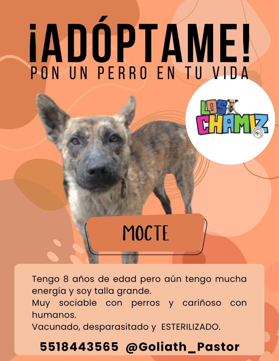 Goliathpastor's tweet photo. Quisiera cumplirles y encontrar una familia para todos https://t.co/XXvr8iE96L