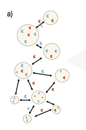 A Gene-Free Minimal System for Synthetic Quorum Sensing in Protocell Communities astrobiology.com/2026/01/a-gene…