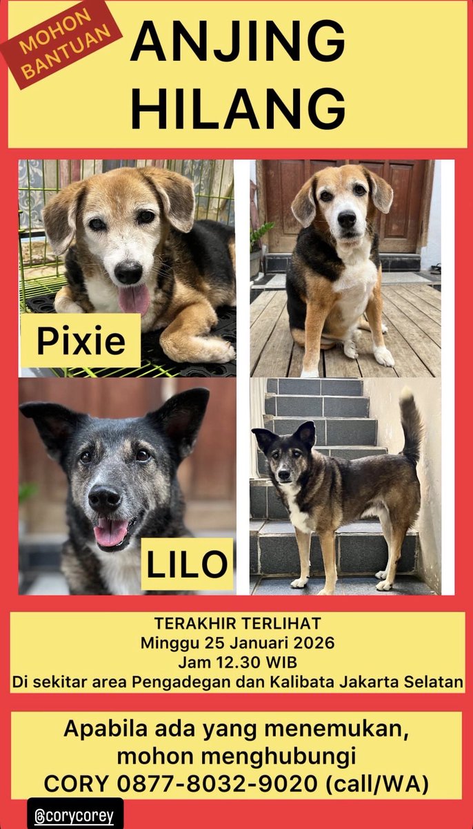 pidud's tweet image. ‼️Help RT‼️

ANJING HILANG!!

Bantu tmn cari 2 anabulnya yg hilang, Pixie &amp;amp; Lilo dr Minggu 25/1 di sekitaran Pengadegan &amp;amp; Kalibata, JakSel. Pixie sgt friendly, kl Lilo takut orang &amp;amp; suara keras. Buat yg nemu bs hub CP di bwh. Thx
#AnabulHilang #AnjingHilang #MissingDog #DogLovers