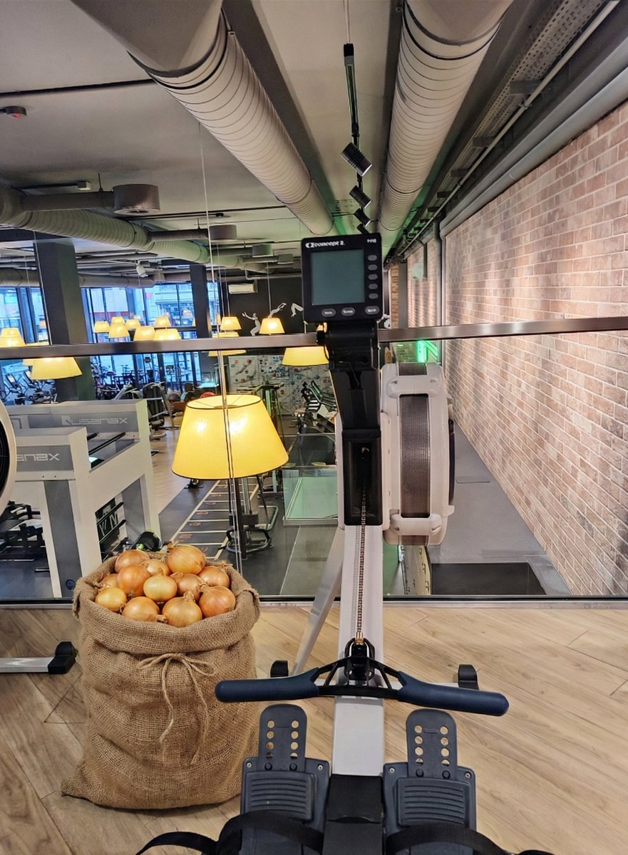 5 IQ Capital tweet media