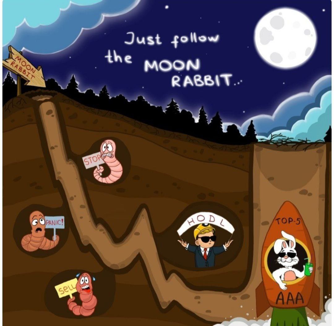 Are you ready for the rocket launch? #MoonRabbit has been sitting in its burrow for too long, it's time to go to the moon.😉 

dex-trade.com/spot/trading/A… pancakeswap.finance/swap?+chain=bs… 

#Crypto #AAA #Tothemoon