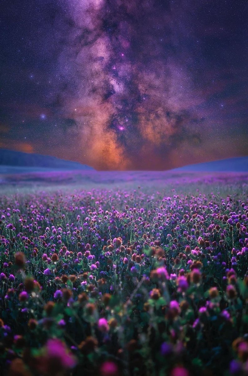 We are stars wrapped in skin. 
The light you are seeking has always been within.

Rumi