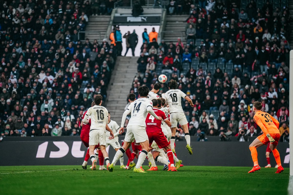 VfB Stuttgart 1893 tweet media