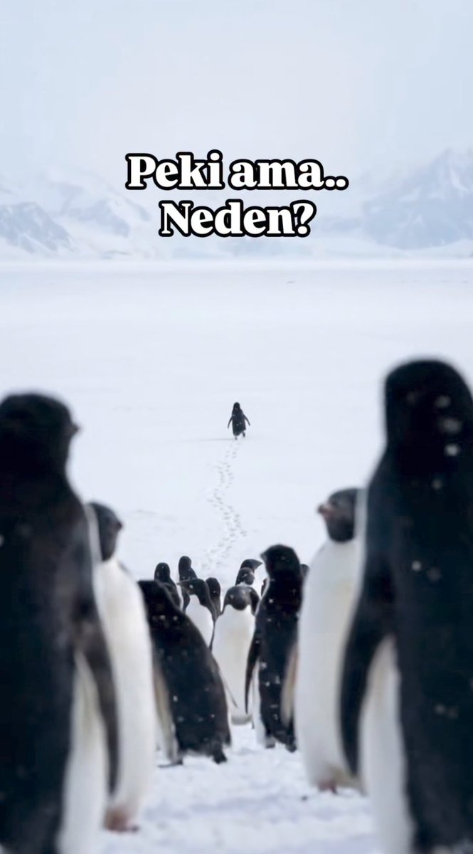 Ne yapsın? Baktı ki sendikası hiç bir işe yaramıyor. En zor gününde bile yanında değil. Onu sadece sayıdan ibaret görüyor. O da ayrılmış.