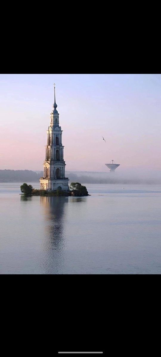 robbyssimo's tweet image. 