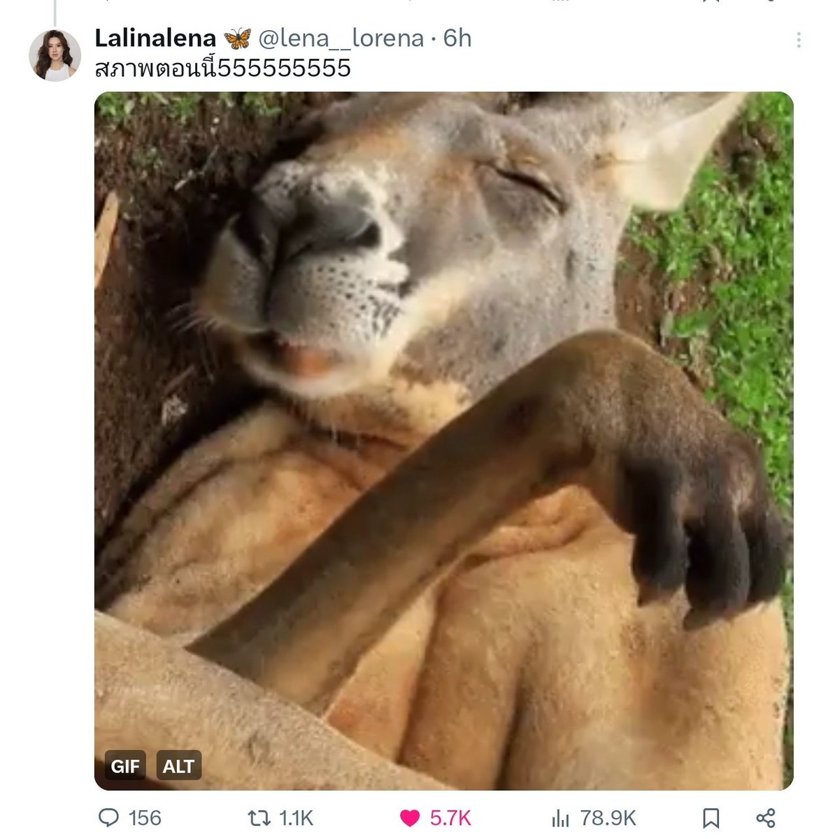 สิ่งที่ทำให้พี่ลีน่าโผล่มาในเอ็กซ์ได้☺️

1.หมิว ✅
2.มีมจิ้งโจ้ ✅✅✅✅✅✅✅✅✅

#ลีน่าหมิว #LenaMiu