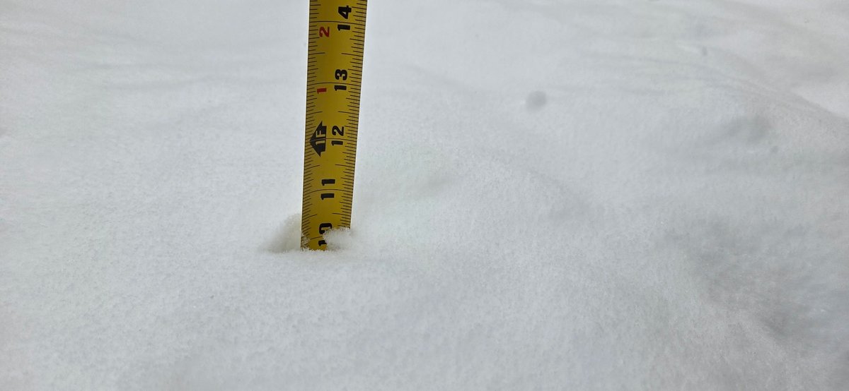 czkris's tweet photo. @JimOBrienWX  just measured my deck so far today...10in and counting https://t.co/6gynI0uNCq