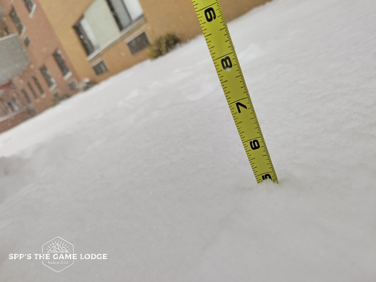 SPP's The Game Lodge tweet media