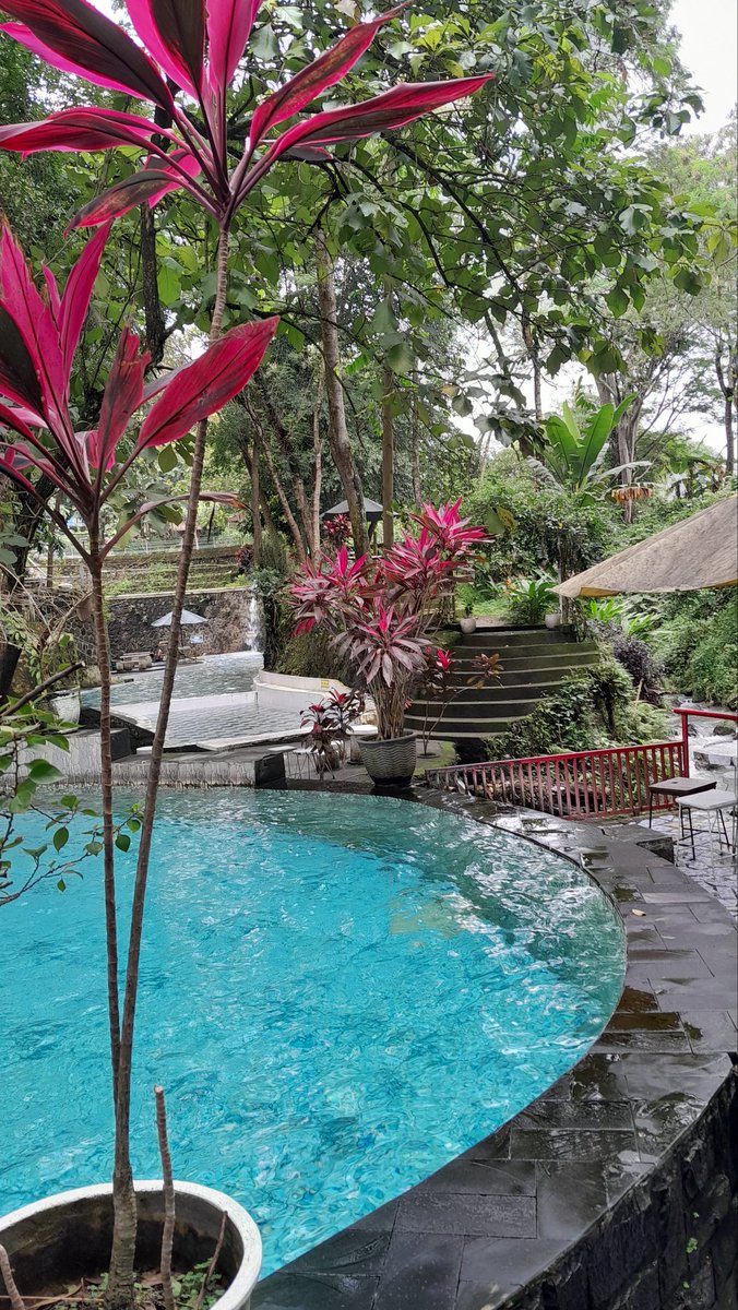 tata💞 tweet media