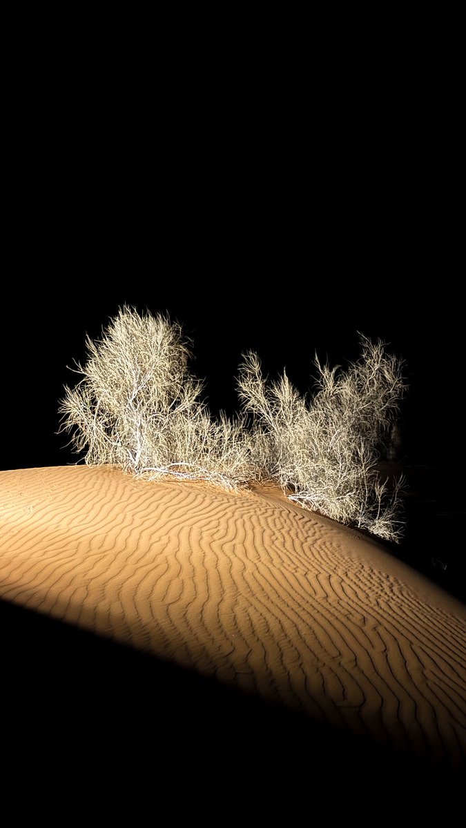 صحراء النفود الكبير ليلاً

شمال حائل 😍

يناير 2026 م