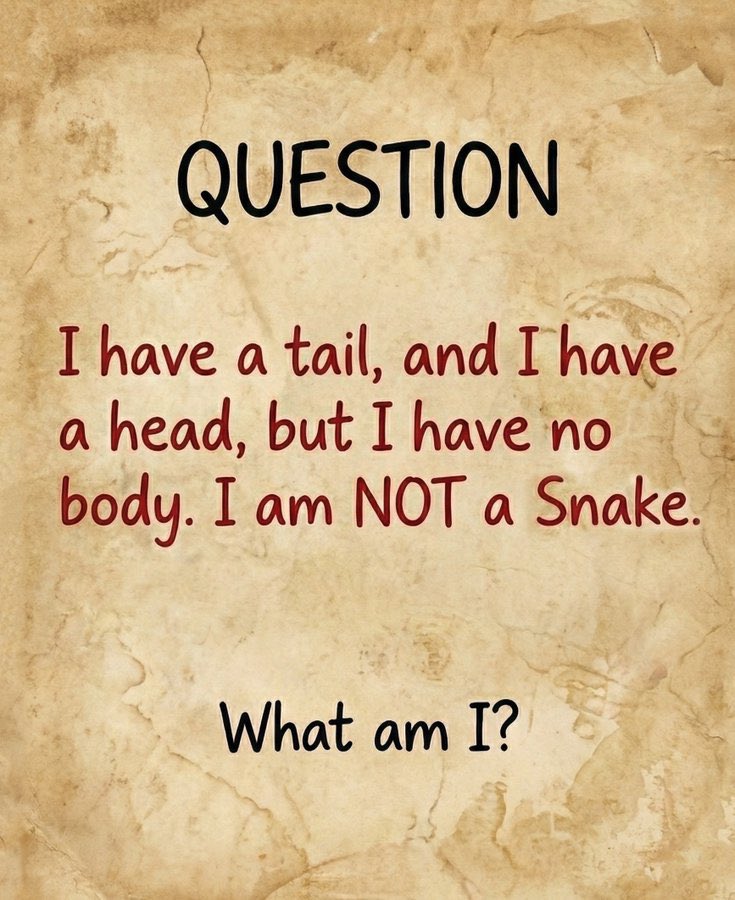 Honey 🛼 tweet media