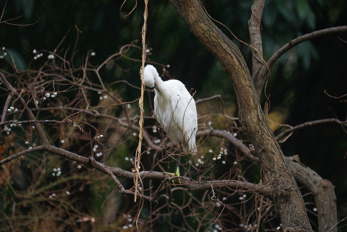 MATTY_82's tweet image. The planet’s atmosphere is too thin to provide protection from harmful solar radiation 🌞🔴