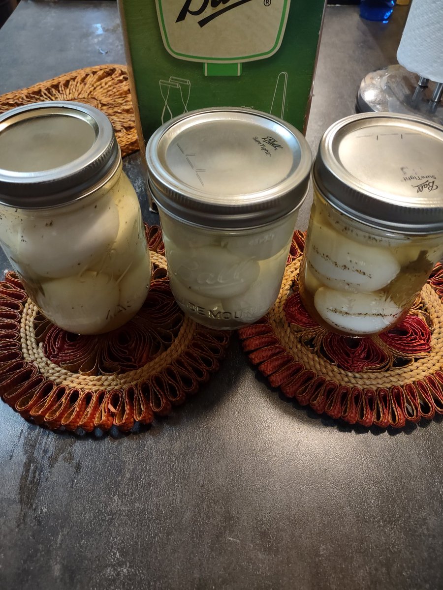 CornbreadRTR's tweet image. More pickled eggs fer the farm stand 👍🏻