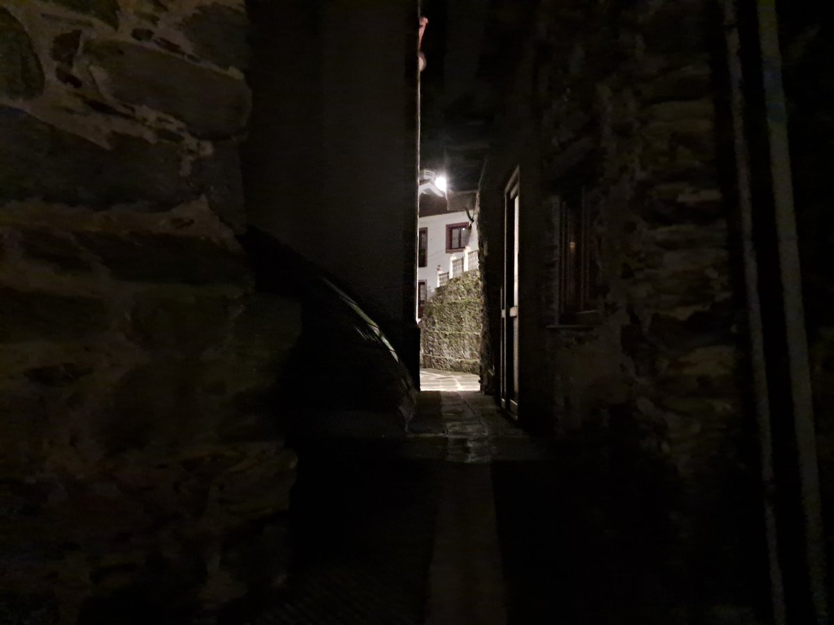 Caesar_is's tweet image. 💚