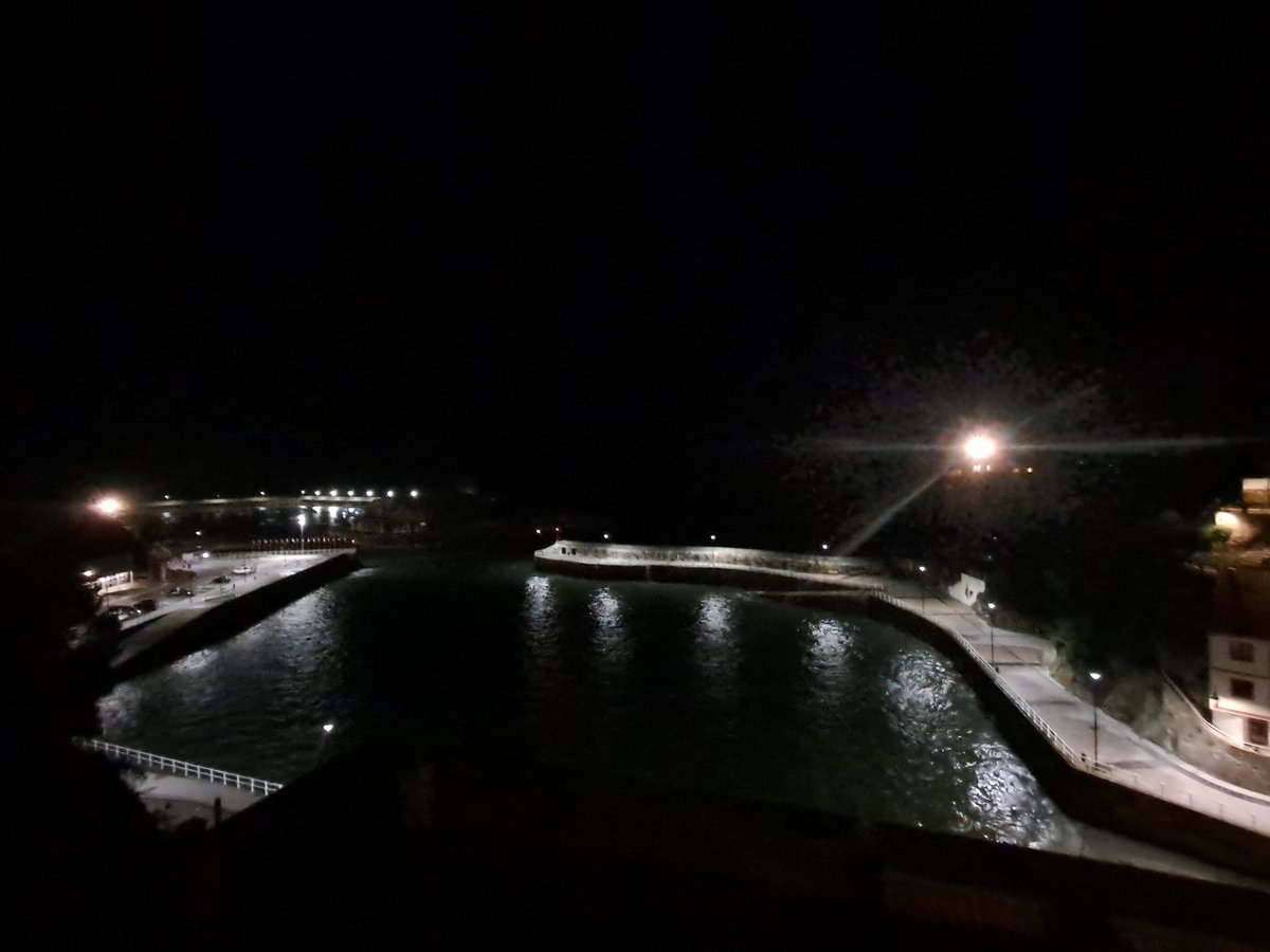 Caesar_is's tweet image. 💚