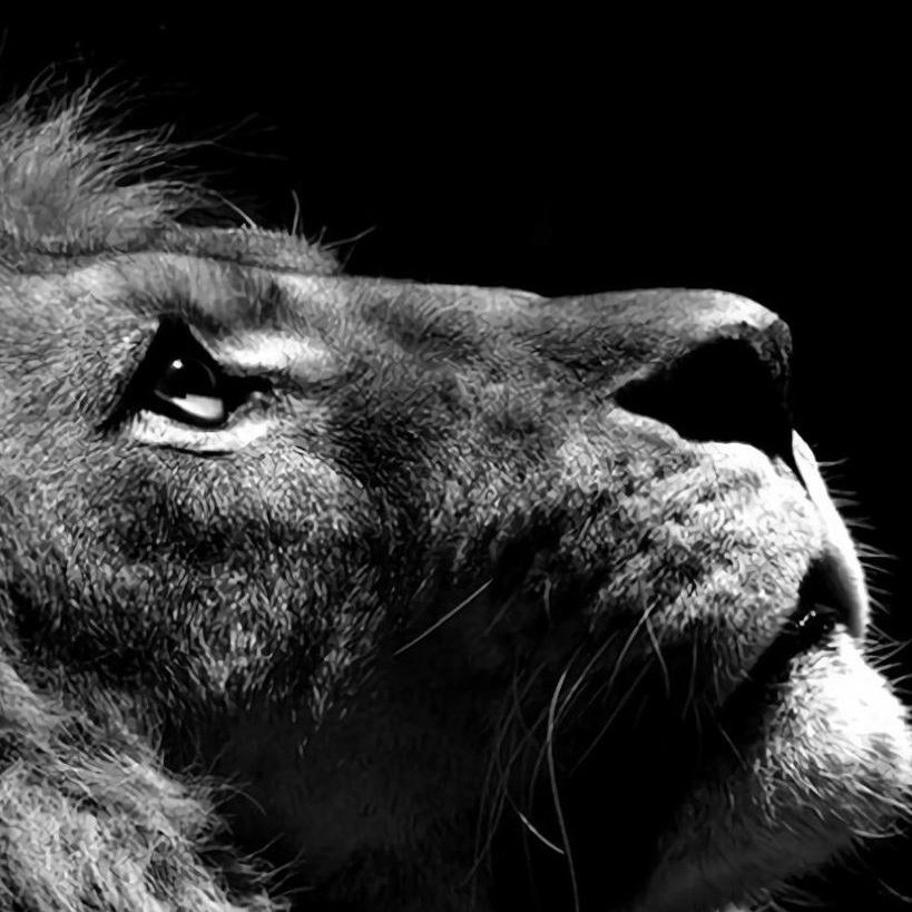 Kapalı sakin #FBvGÖZ 😁😁