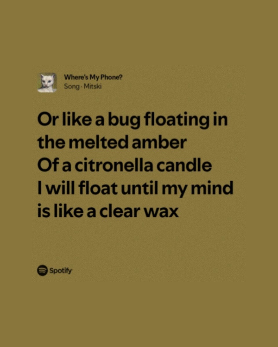 mitskifiIes's tweet image. bug like an angel son or bug floating in the melted amber daughter