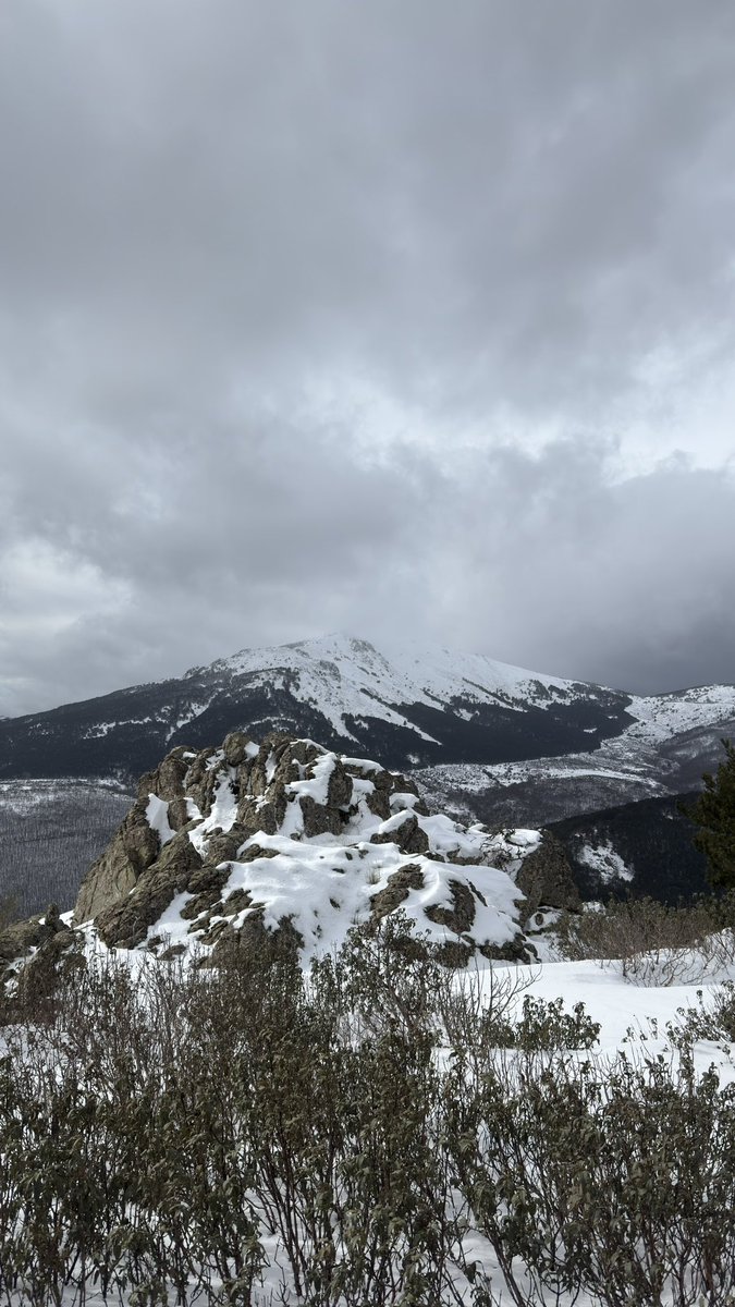MeteoExplora's tweet image. 🌬️ Jornada muy ventosa en la Sierra de Madrid 🏔️, con algunos copos de nieve ❄️ visibles en las inmediaciones de #MirafloresdelaSierra.
Importantes acumulaciones por encima de los 1.400m, dejando un paisaje plenamente invernal. @AytoMiraflores 
#Viento #Madrid #SierraMadrileña