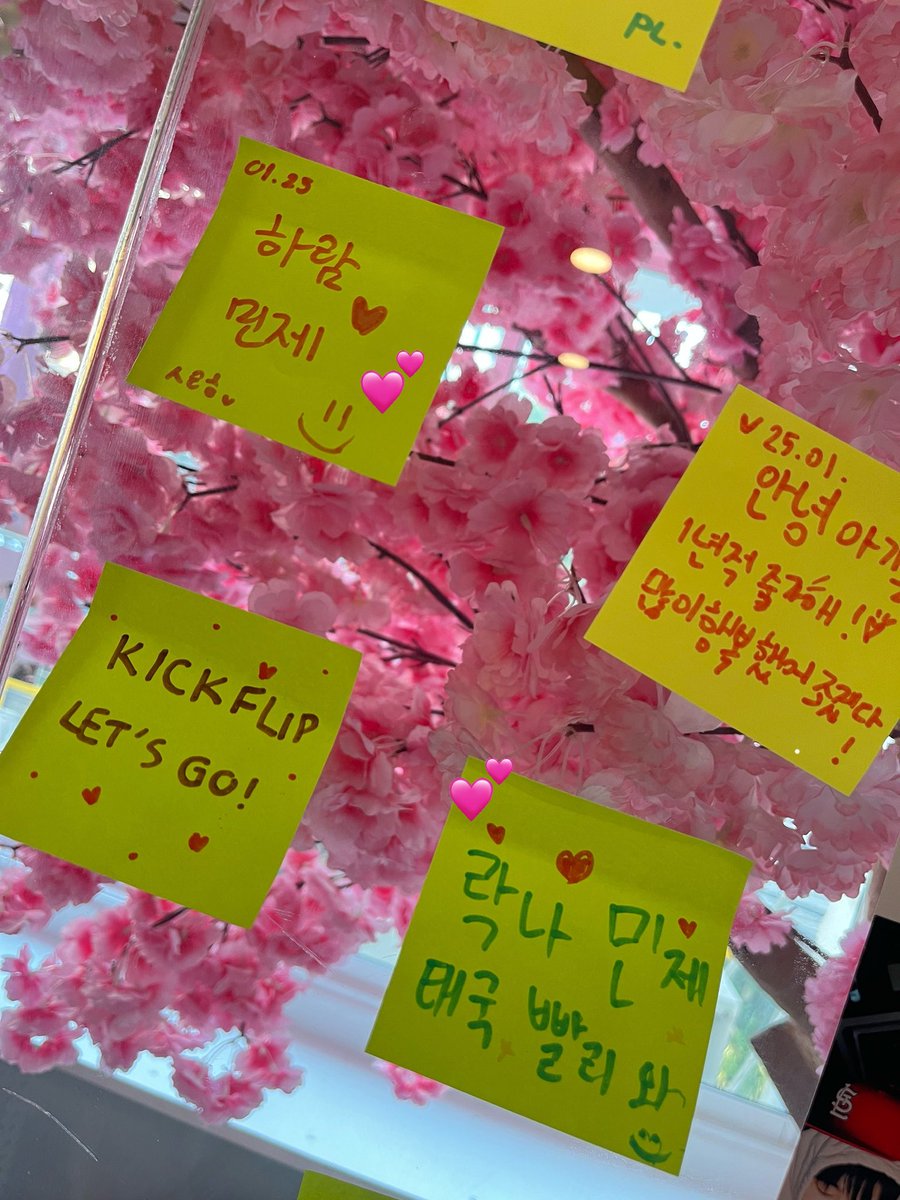 모찌 mochi tweet media