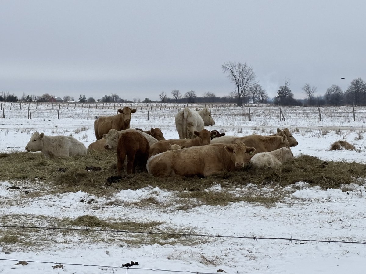 Before the Bad Weather. Coming together is always the best solution, especially when it comes to weathering a storm: natural, economic or political. 🇨🇦