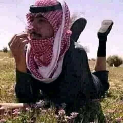 Ugh I'm like a kk mooie bird, you can only look at me from a distance but you can't catch me