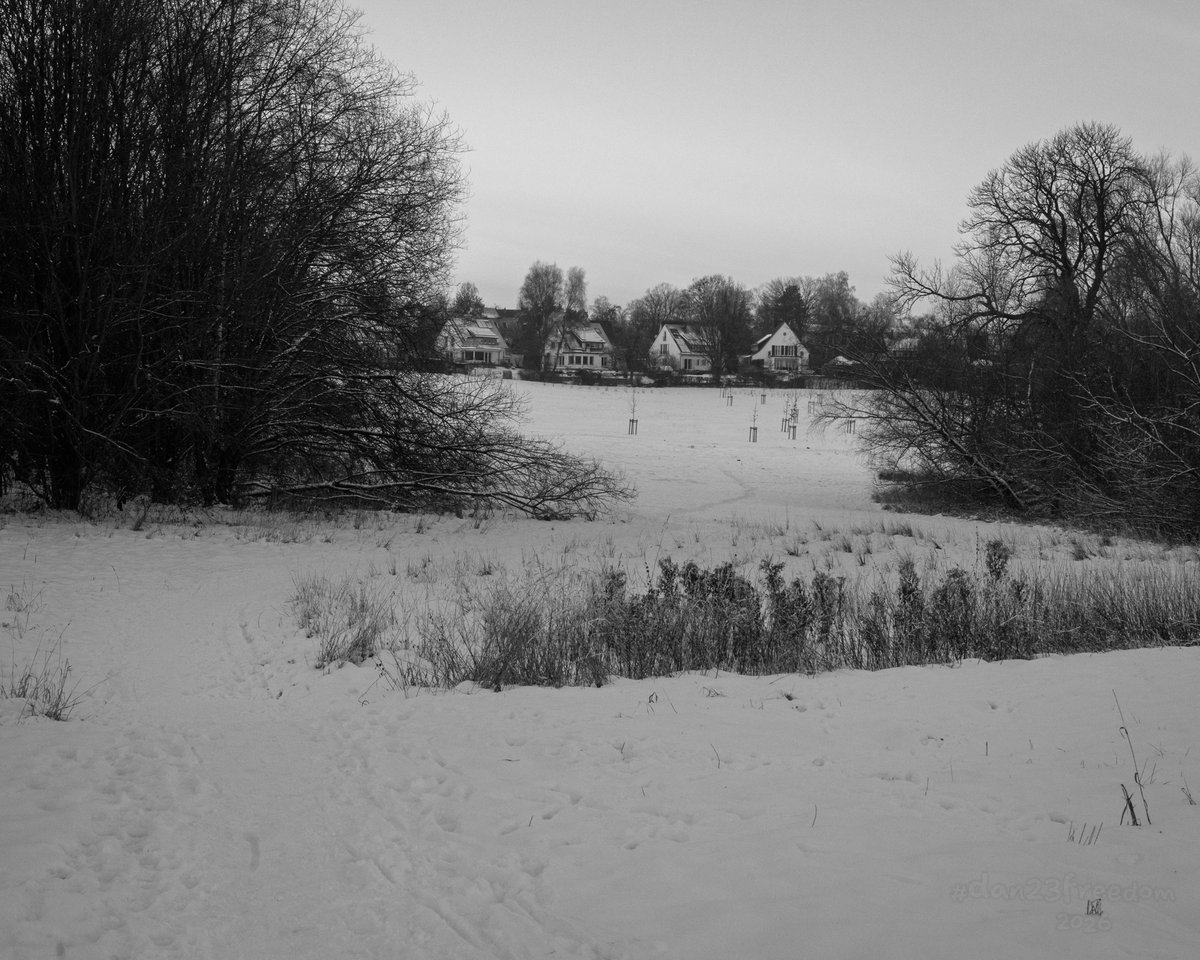 Dan 23 Freedom tweet media