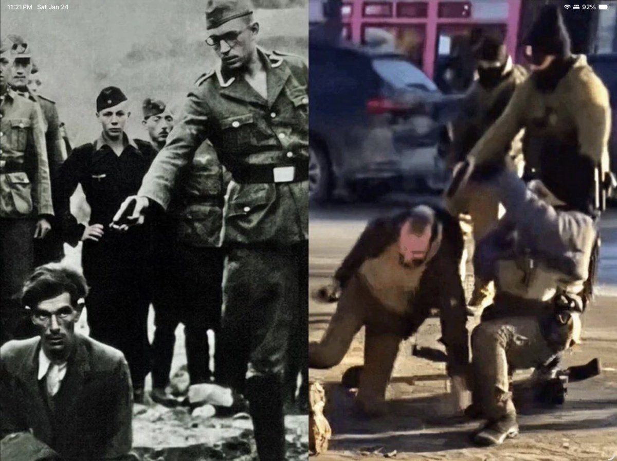 Nobody in America is safe.  If Trump’s secret police force will execute a government employed VA nurse on camera for us all to see and then lie about it, then they won’t hesitate to kill you next and lie about you.

This is fascism.  They are Nazis.