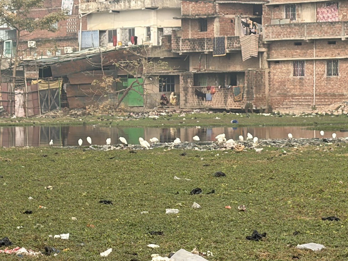 Sunday for Society in Nalanda
समाज के प्रति जिम्मेवारी निभाने के लिए शहरवासियों से हर रविवार को 1 घंटा सामुदायिक कार्य करने की अपील।शहर की सिविल सोसाइटी मिलकर अब शहर की समस्यायों का समाधान करने का प्रयास करेगी।PRAYAS (Promoting Regular Awareness for Your Action in Society)अभियान