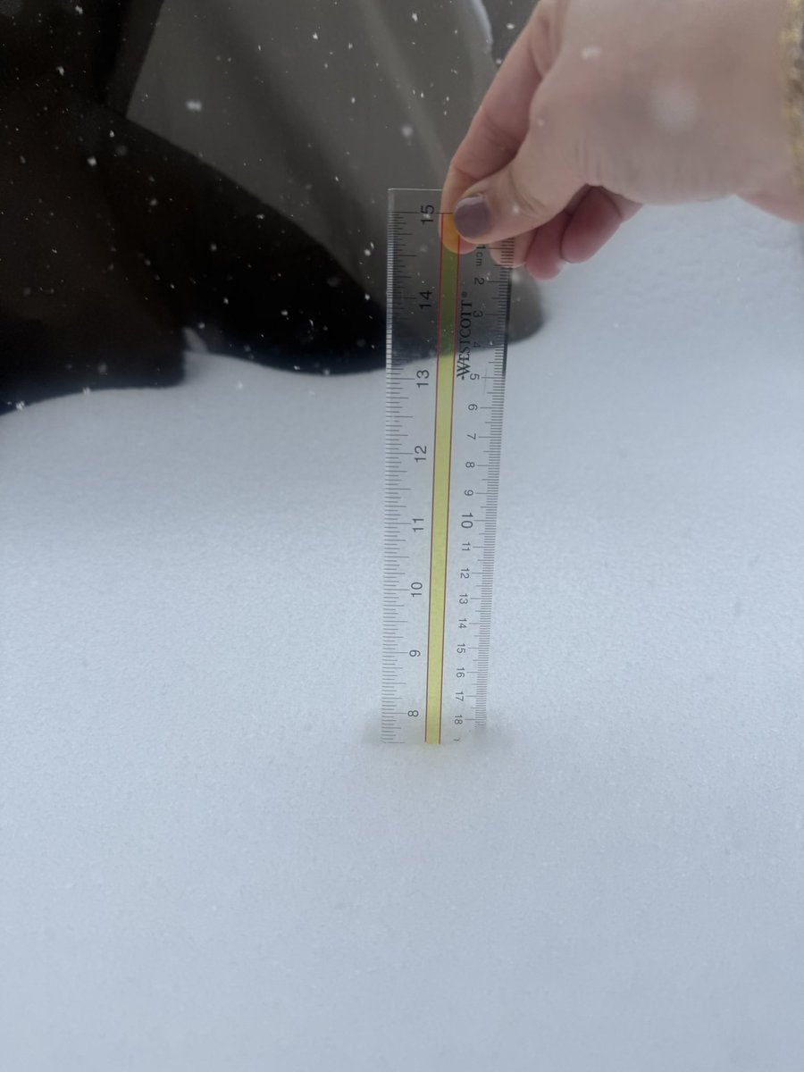 Alyssa Catherine tweet media