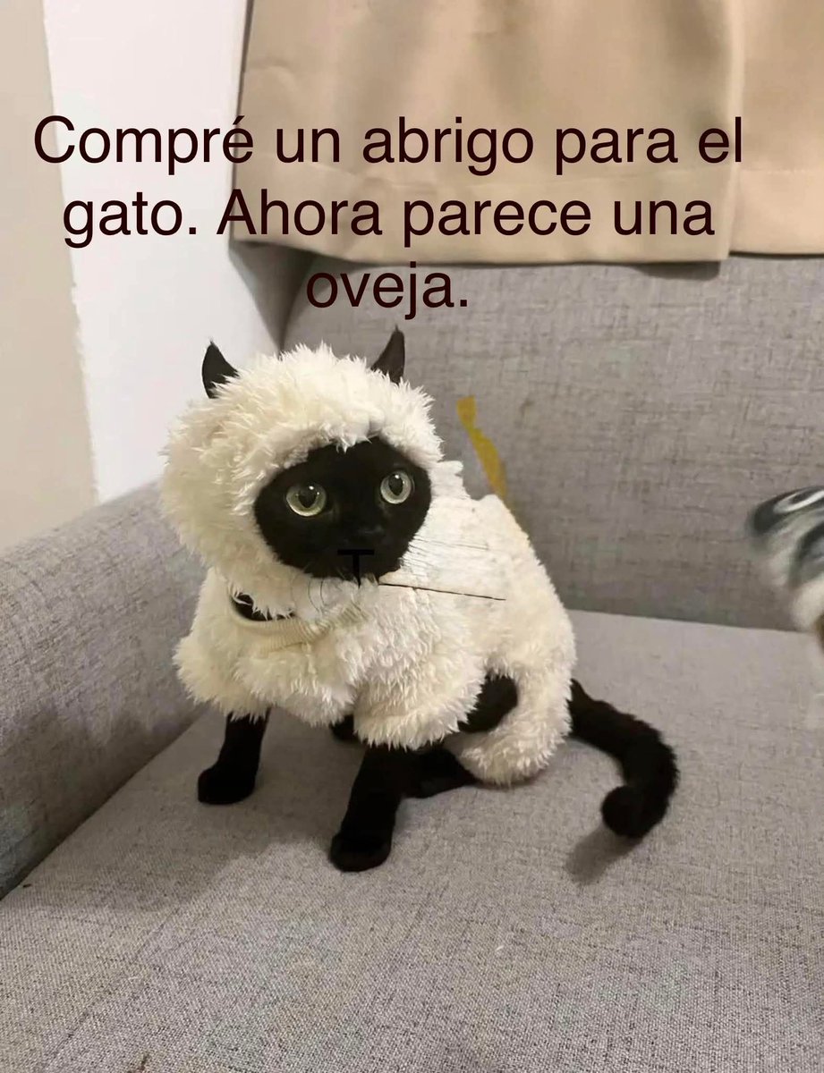 jajaja