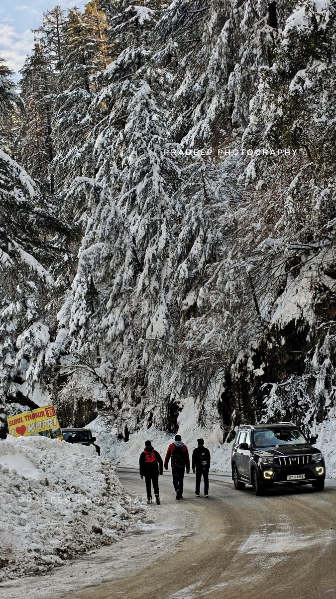 PradeepPhoto87's tweet photo. शिमला के साथ साथ कुफरी में बर्फबारी के बाद की कुछ तस्वीरें।
#himachalpradesh #kufri #snow #travel #snowfall https://t.co/vWCvf4gjJ6