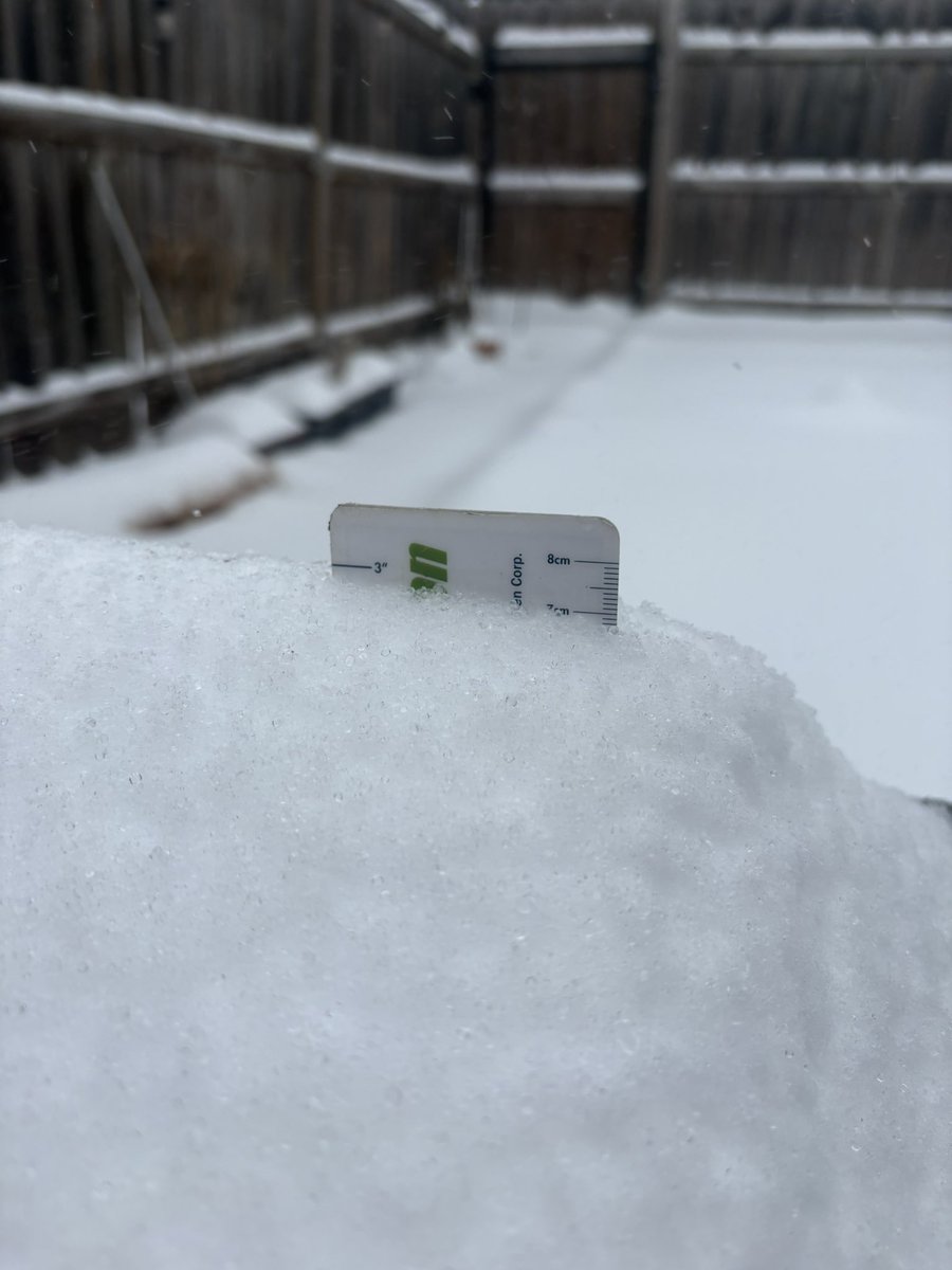 Dan Ampthor tweet media