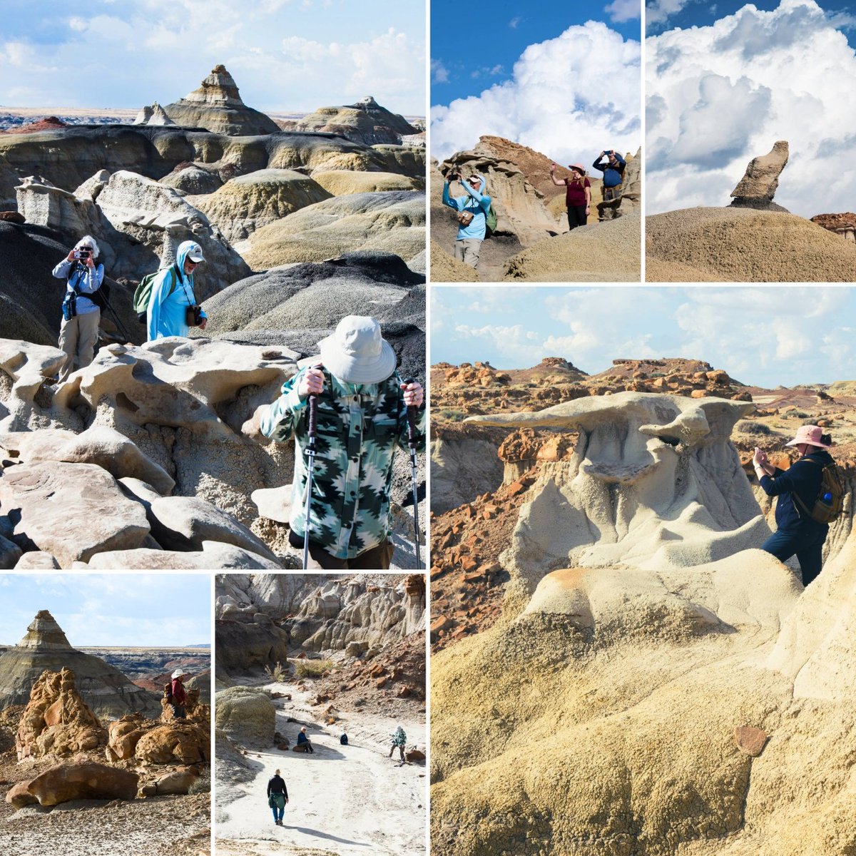 navajotoursusa's tweet image. We don’t stop everywhere, we stop where it matters. You enjoy the view. We handle the details.

#LocalGuides
#NewMexicoTrue
#VisitFarmington
