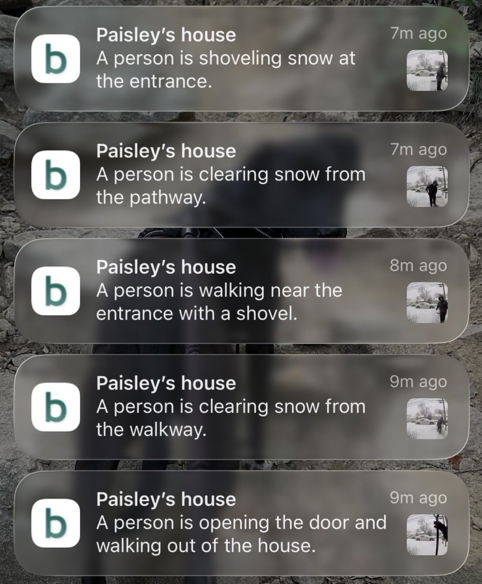 Lisa❣️920 tweet media