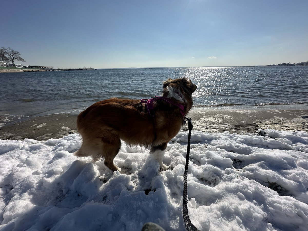 Lisa❣️920 tweet media