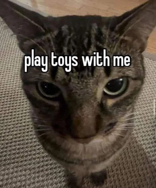 WholesomeMemes tweet media